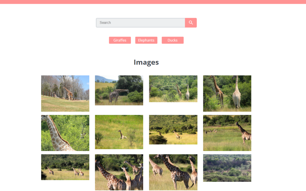 Landing page of Image Gallery