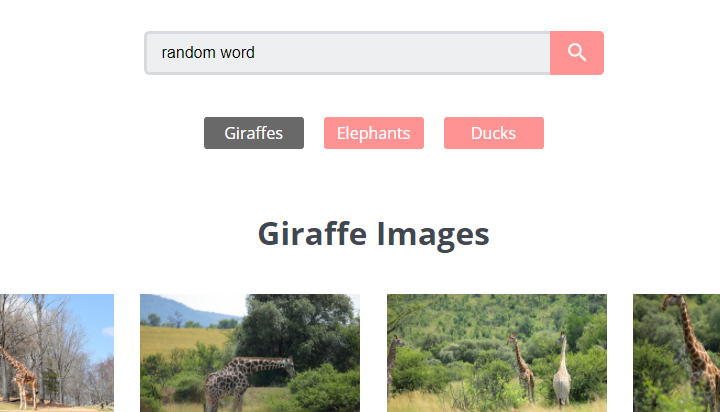 Search Functionality
